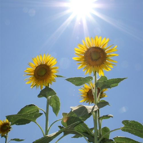 戦争を生きた人々