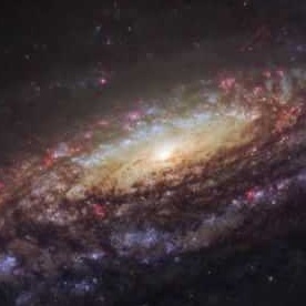 銀河のかたすみで